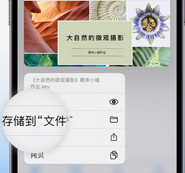 金门apple维修中心分享iPhone文件应用中存储和找到下载文件