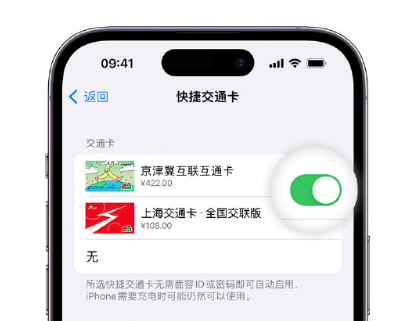 金门apple维修点分享iPhone上更换Apple Pay快捷交通卡手绘卡面 