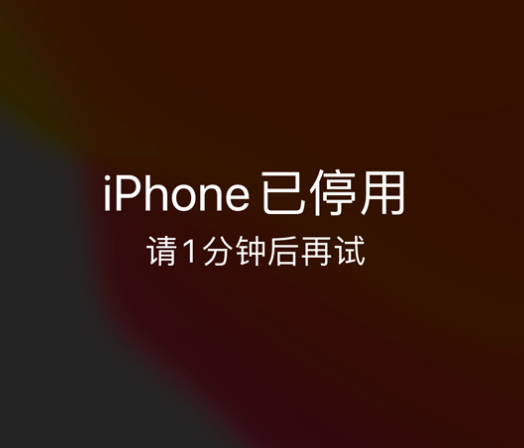 金门苹果手机维修分享:iPhone 显示“不可用”或“已停用”怎么办？还能保留数据吗？ 