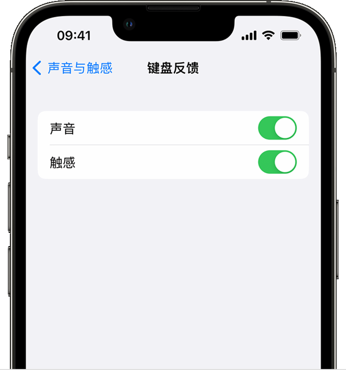 金门苹果14维修店分享如何在 iPhone 14 机型中使用触感键盘 