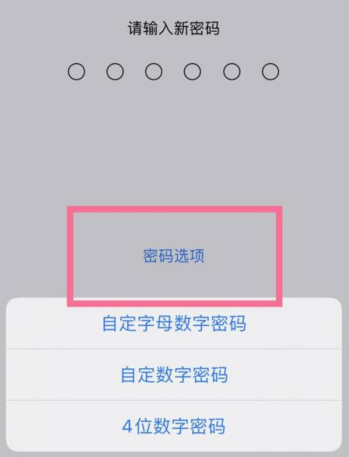 金门苹果14维修分享iPhone 14plus设置密码的方法 