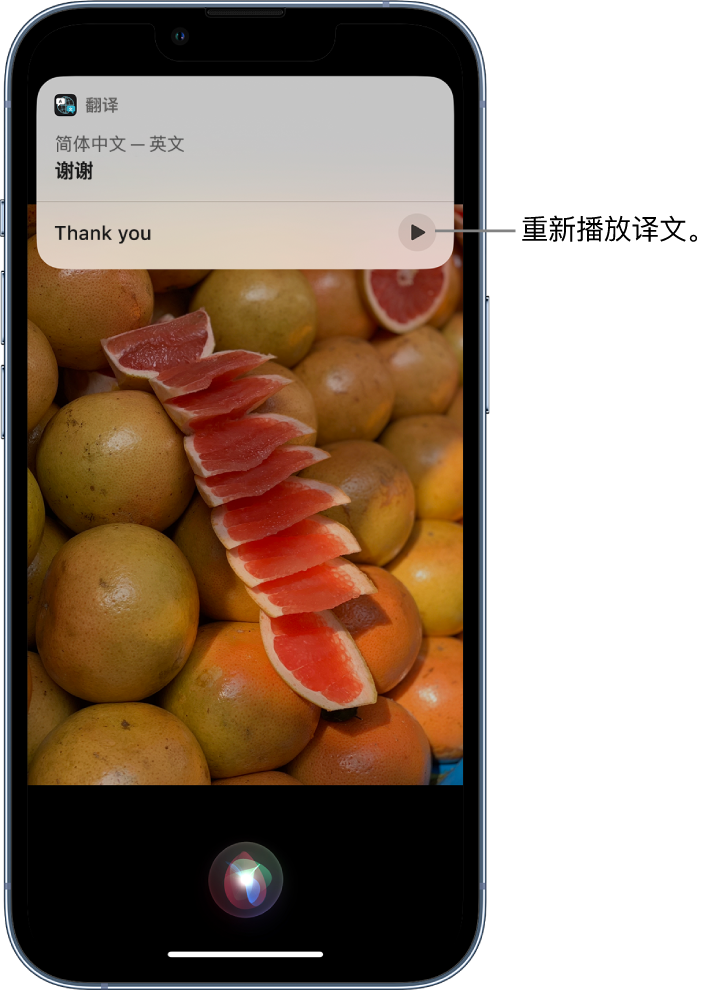 金门苹果14维修分享 iPhone 14 机型中使用 Siri：了解 Siri 能帮你做什么 