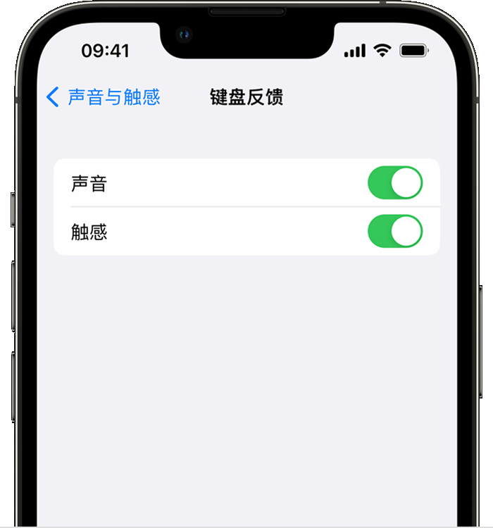 金门苹果14维修分享iPhone 14 系列机型如何开启键盘声音或触感反馈 