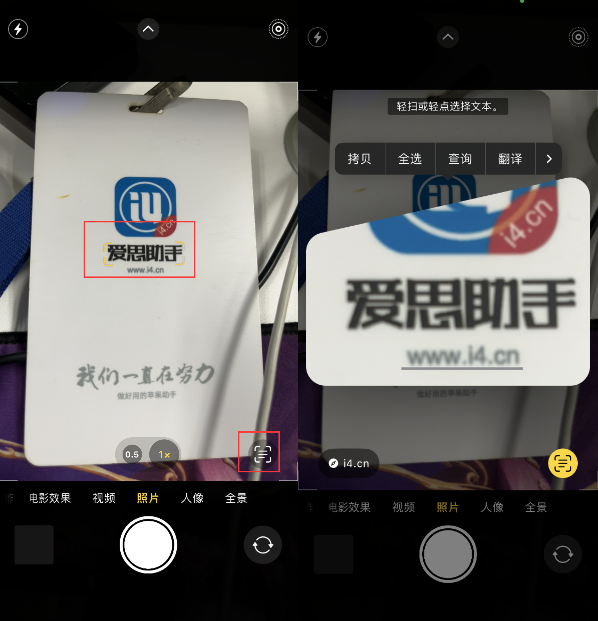 金门苹果手机维修分享升级iOS 16后如何通过相机翻译文本 