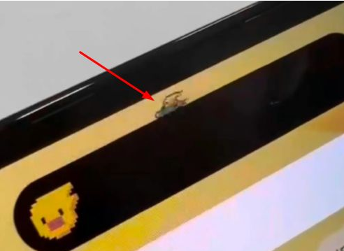 金门苹果14维修分享iPhone 14 Pro Max灵动岛怎么养宠物 