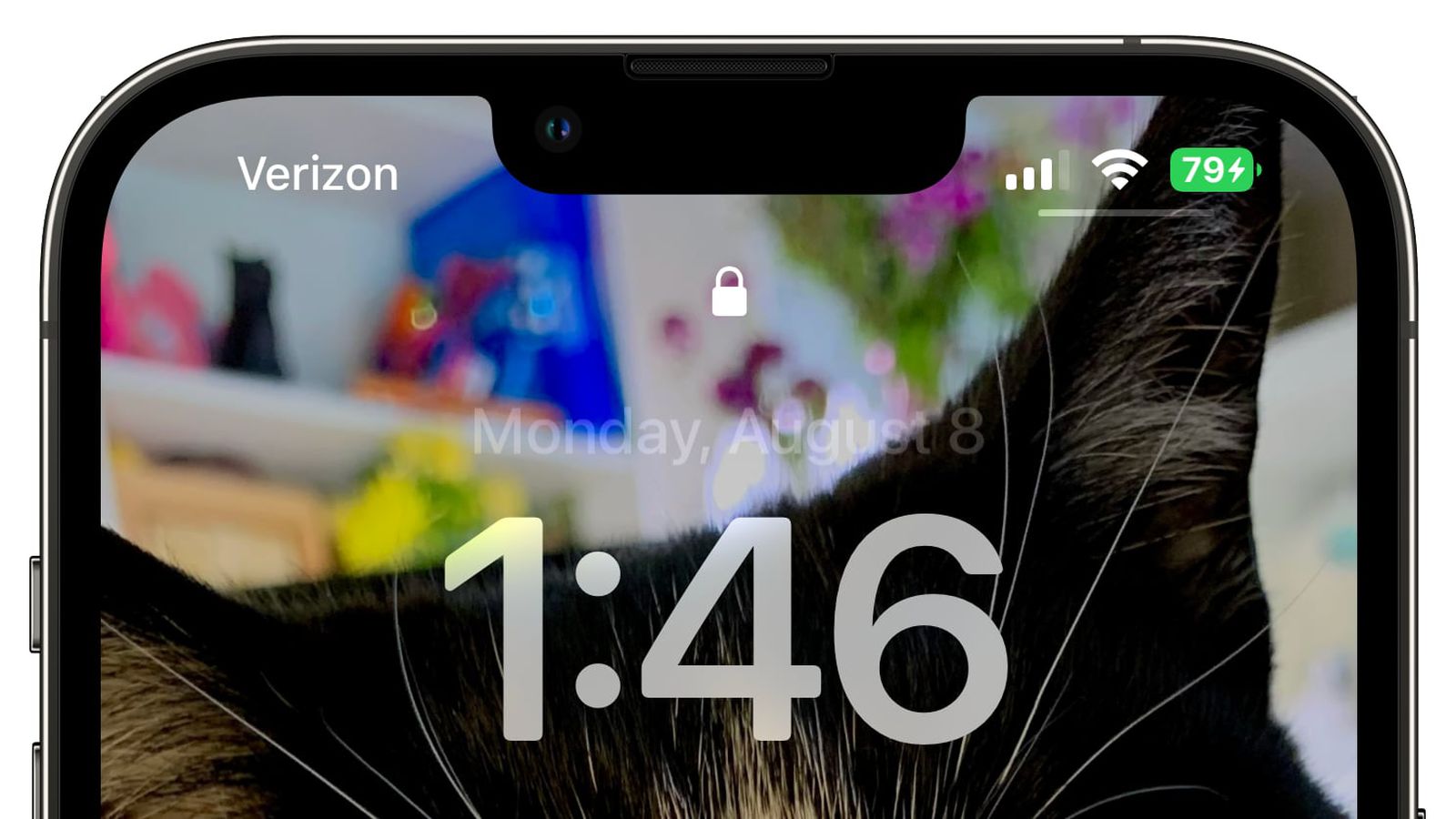 金门苹果手机维修分享iOS 16 beta 5 支持状态栏显示电池百分比，如何开启？支持哪些机型 