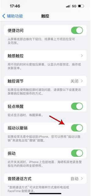 金门苹果手机维修分享iPhone手机如何设置摇一摇删除文字 