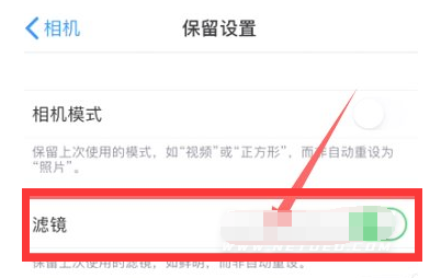 金门苹果13维修分享iPhone13拍照有绿点是怎么回事 
