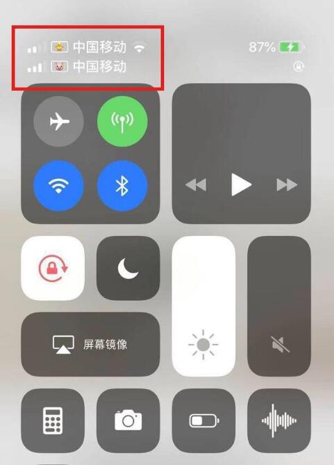 金门苹果手机维修分享为 iPhone 12 双卡设置标签 